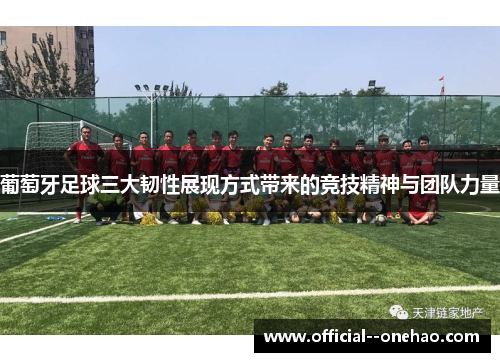 葡萄牙足球三大韧性展现方式带来的竞技精神与团队力量 葡萄牙足球三大韧性展现方式带来的竞技精神与团队力量