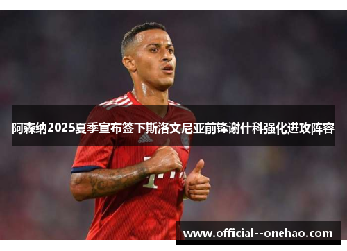 阿森纳2025夏季宣布签下斯洛文尼亚前锋谢什科强化进攻阵容